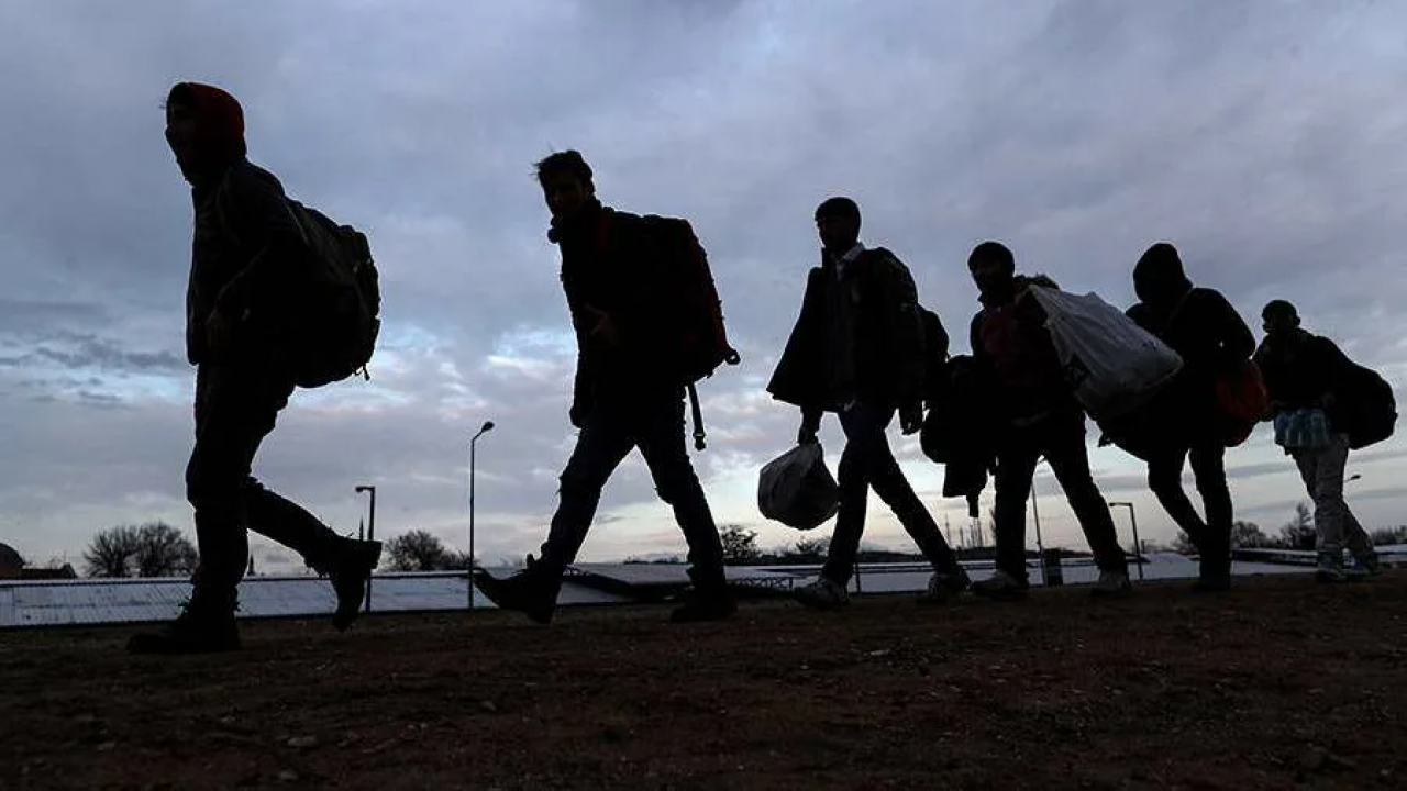 Migration _ official trailer. Миграция трейлер. Миграция трейлер. Миграция мультфильм 2023 трейлер. Новинки кино 2023 смотреть.