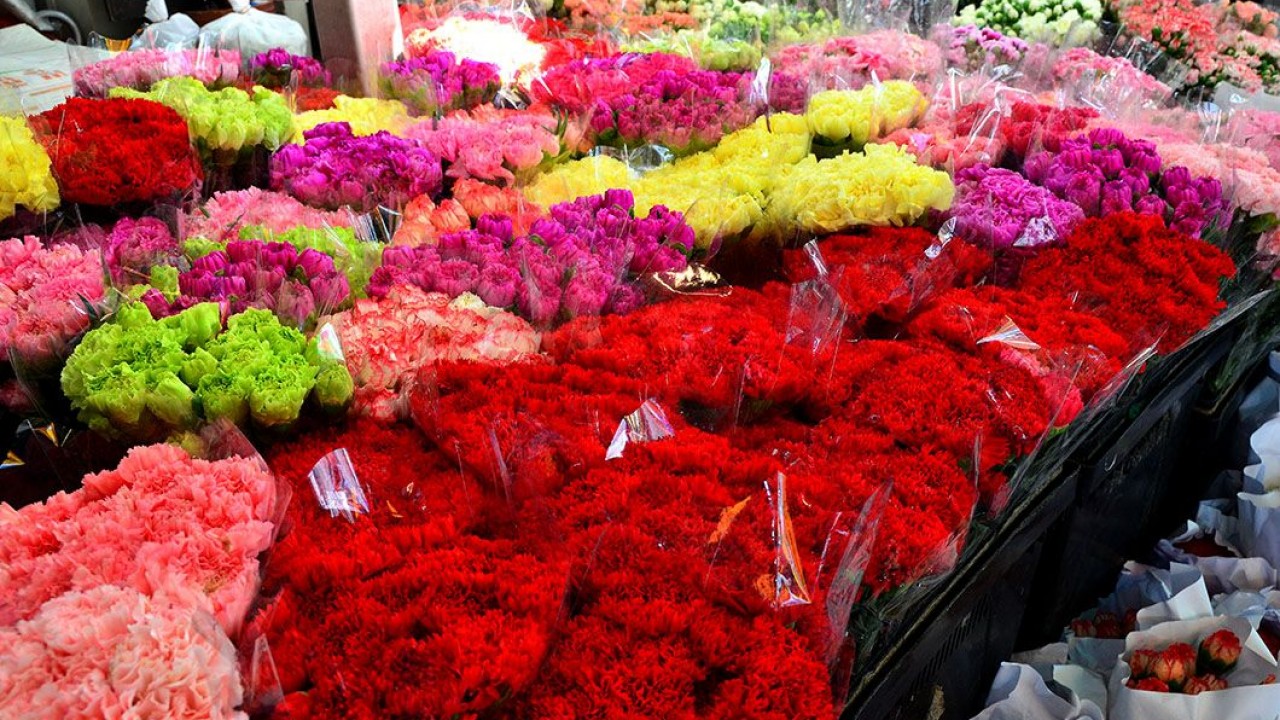 Сколько стоят гвоздики в цветочном магазине. Цветочный базар в Бангкоке. Склад цветов. Свежесрезанные цветы. Цветочная база.