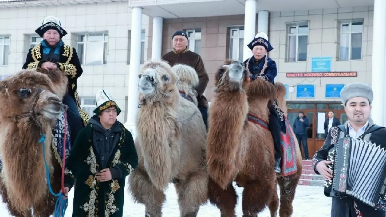 Верблюды появились на избирательном участке на юге Казахстана