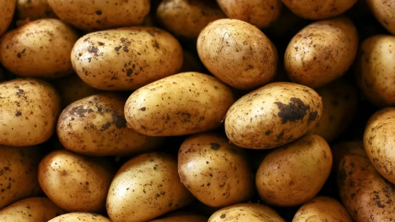 Стабфонд Атырау хотят пополнить на 5 тысяч тонн картофеля и овощей