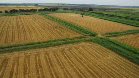 Штрафы за использование сельхозземель иностранцами появятся в Казахстане