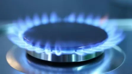 4 жыл бұрын тартылған газ құбыры іске қосылмаған  