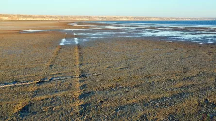 Уровень Аральского моря поднялся