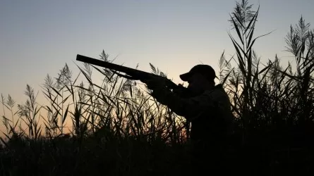 Пропавшего охотника ищут в Туркестанской области