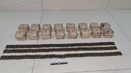 Тайник с боеприпасами обнаружен в Талдыкоргане