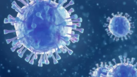 Стало известно число зараженных коронавирусом в Казахстане
