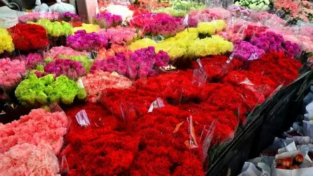 Казахстан на 10% увеличил экспорт цветов