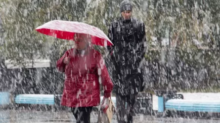 Метель, дождь со снегом и ветер обещают в Казахстане
