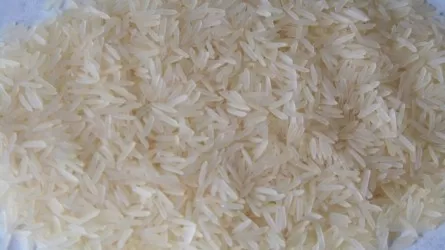 Рис по 350 тенге обещают поставлять для стабфонда в Кызылорде