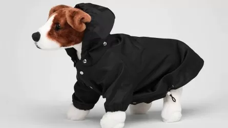 Не дешево, но красиво: Prada представил одежду для собак 