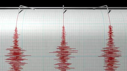 Землетрясение произошло в 682 км на юго-запад от Алматы  