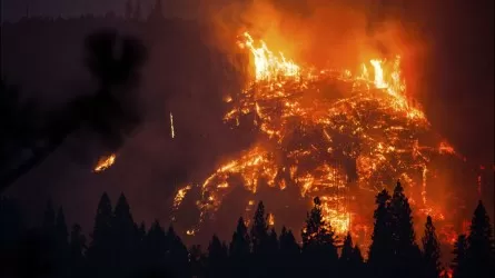 Ущерб от прошлогодних пожаров в Павлодарской области превысил 100 млн тенге