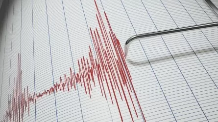 В Казахстане случилось землетрясение магнитудой 3,1