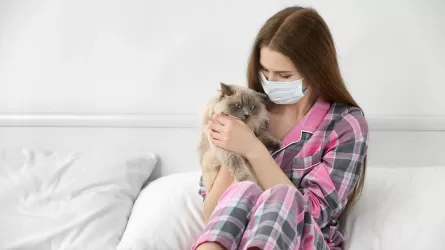 Что делать и чем лечить аллергию на шерсть животных?
