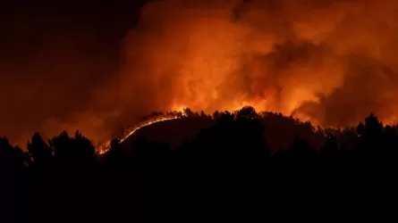 В Испании 1500 человек эвакуированы из-за лесных пожаров