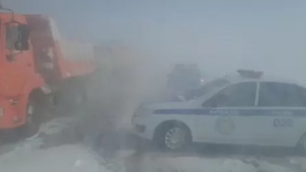 «Қауіпсіз жол» іс-шарасы: ЖКО-ның басым бөлігі Алматы, Астанада тіркелді 
