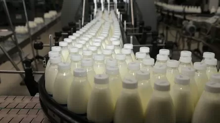 Господдержки не хватает: молочники страны бьют тревогу 