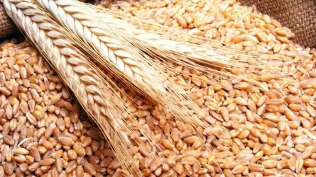 Вопрос о запрете импорта зерна из России остался открытым