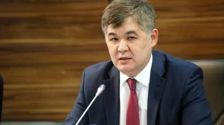 Экс-министр Елжан Біртанов жаңа қызметке кірісті