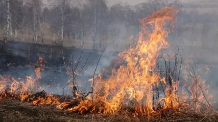 В этом году в Павлодарской области ожидается ранний пожароопасный период