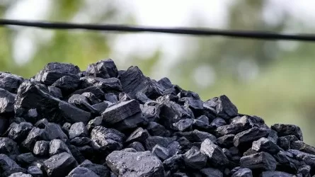 В Казахстане резко выросли цены на уголь: на 13% за год 