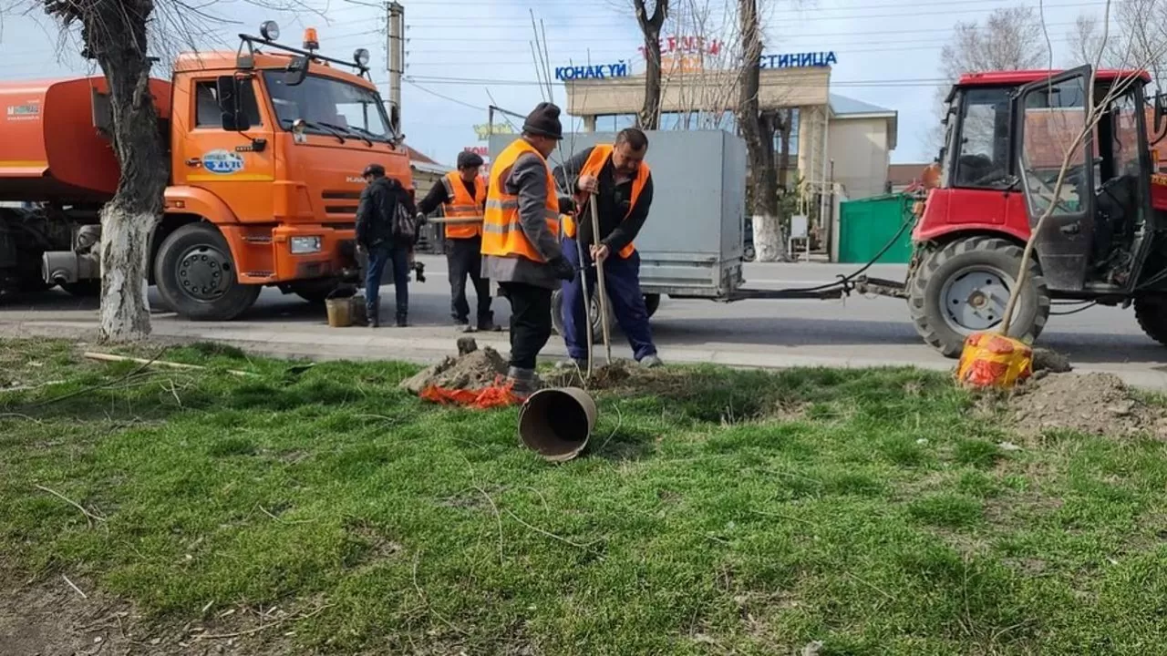 Елімізде жасыл желектерді күтіп-баптау мен қорғаудың қағидалары бекітілді