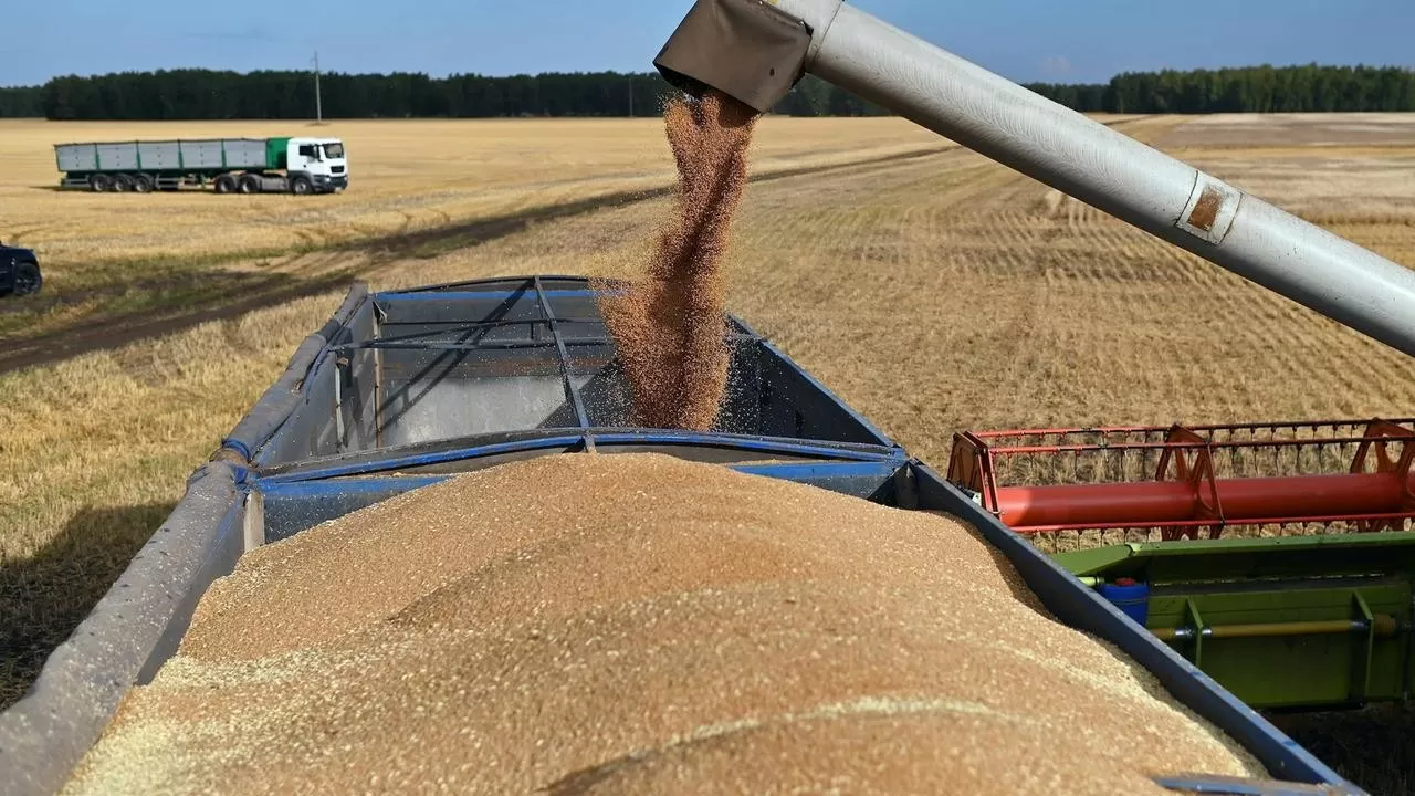 В Казахстане хотят ввести запрет на ввоз пшеницы автотранспортом