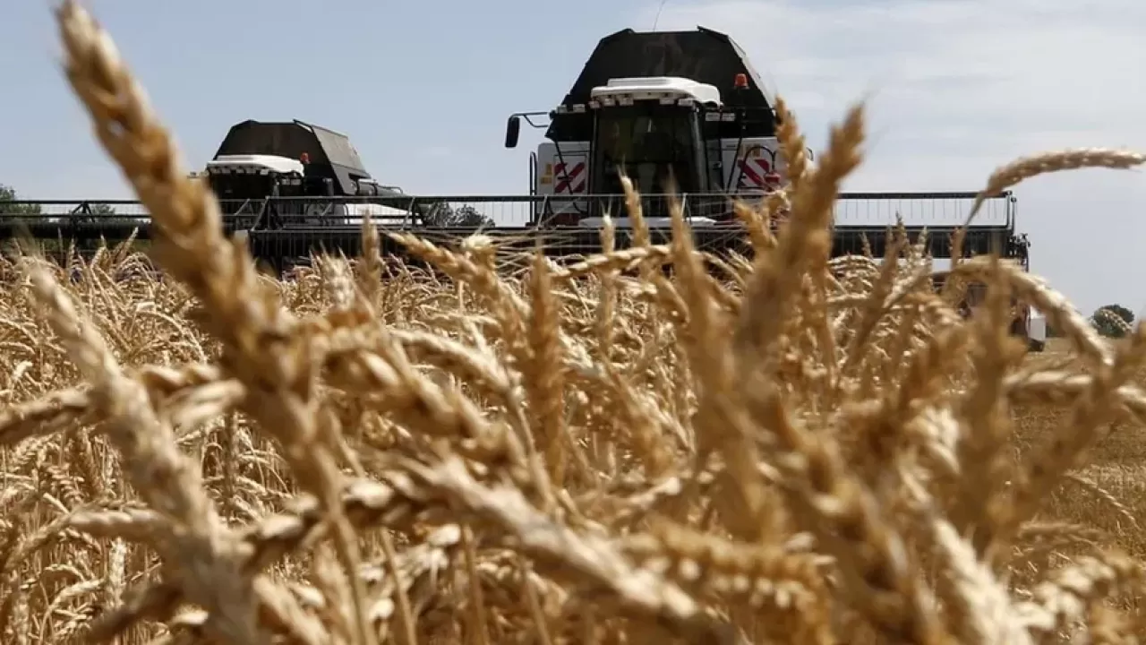 Венгрия запретила импорт сельхозпродукции из Украины