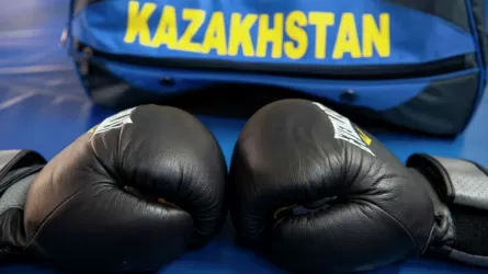 Обновленный рейтинг WBO: какие позиции заняли казахстанские боксеры 