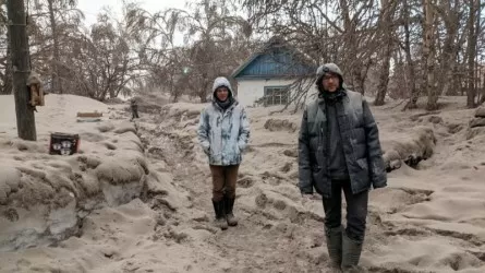 Извержение вулкана Шивелуч накрыло пеплом несколько поселков на Камчатке