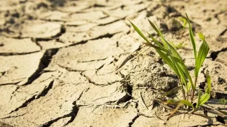 В мае в Казахстане будет кошмарная засуха?