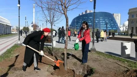 Елордада жалпықалалық сенбілік өтеді