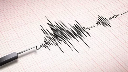 Рядом с Алматы зафиксировали землетрясение