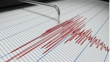 В 550 км от Алматы зафиксировали землетрясение 