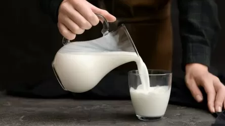 Вслед за зерном в Казахстан может хлынуть молоко из России – эксперт