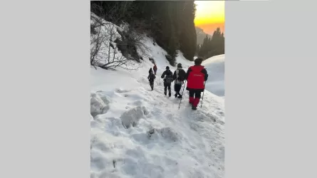 В Алматы спасатели спасли троих туристов в горах
