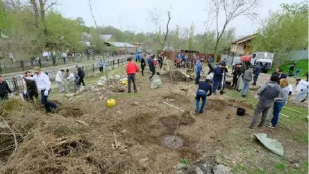 Алматыда жалпықалалық сенбілік аясында 5 мыңға жуық ағаш отырғызылады