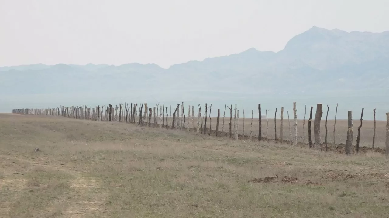 Абай облысындағы ауыл іргесіндегі орманды заңсыз отап тастаған 