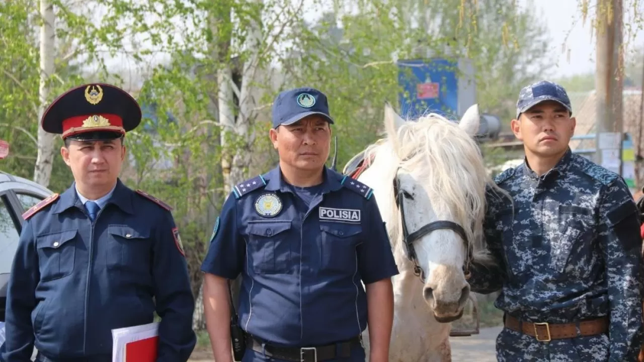 В Павлодаре за дачами будет следить конный патруль  