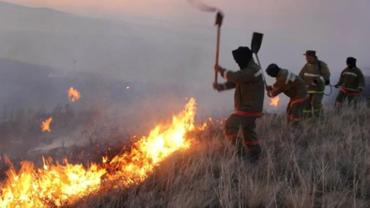 623 млн тенге выделит правительство на борьбу с лесными пожарами