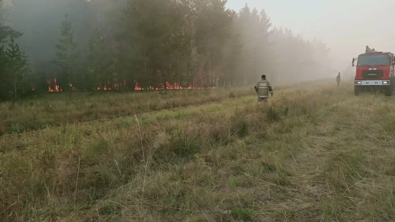 Шығыстағы орманшылардың көлігі әбден ескірген