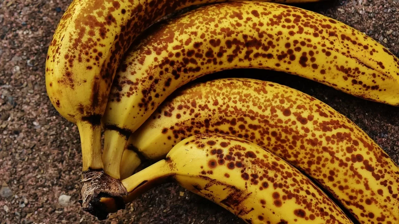 Черви заводятся в перезрелых бананах?