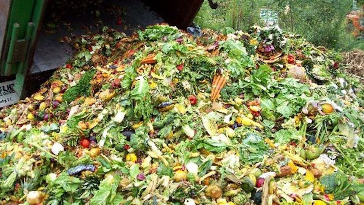 Пищевые отходы утилизация. Свалка пищевых отходов. Пищевые и растительные отходы. Пищевые отходы на свалке. Сельскохозяйственные отходы.