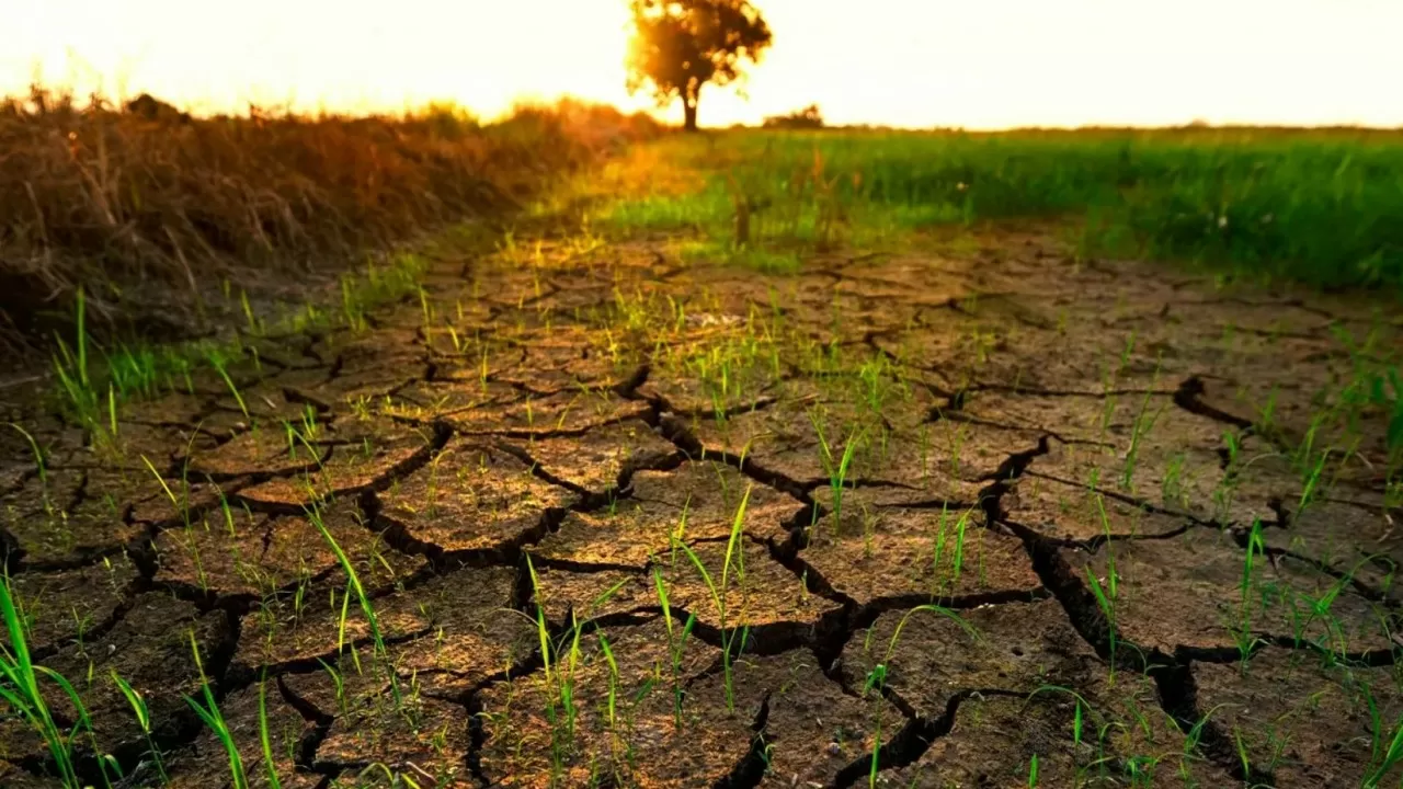 В трех областях РК ожидается засуха в июне