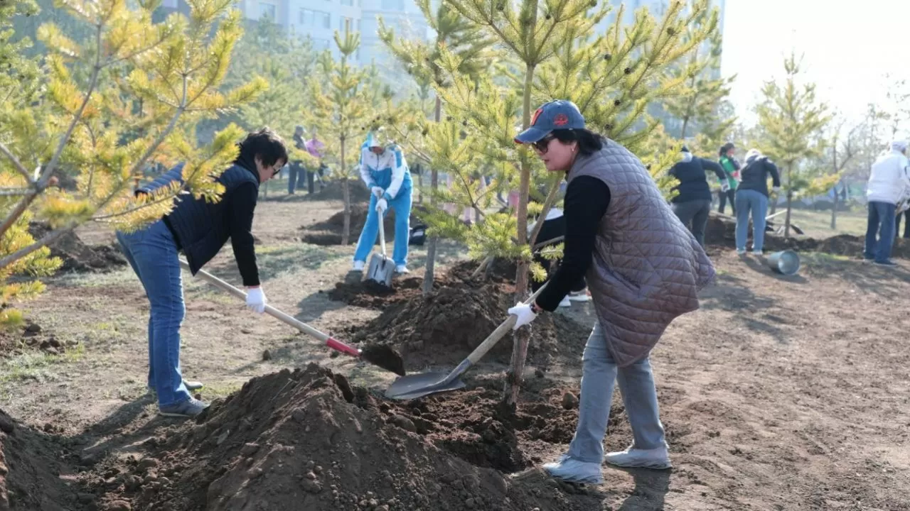 Зеленый фонд столичного района Сарыарка стал больше на 600 деревьев