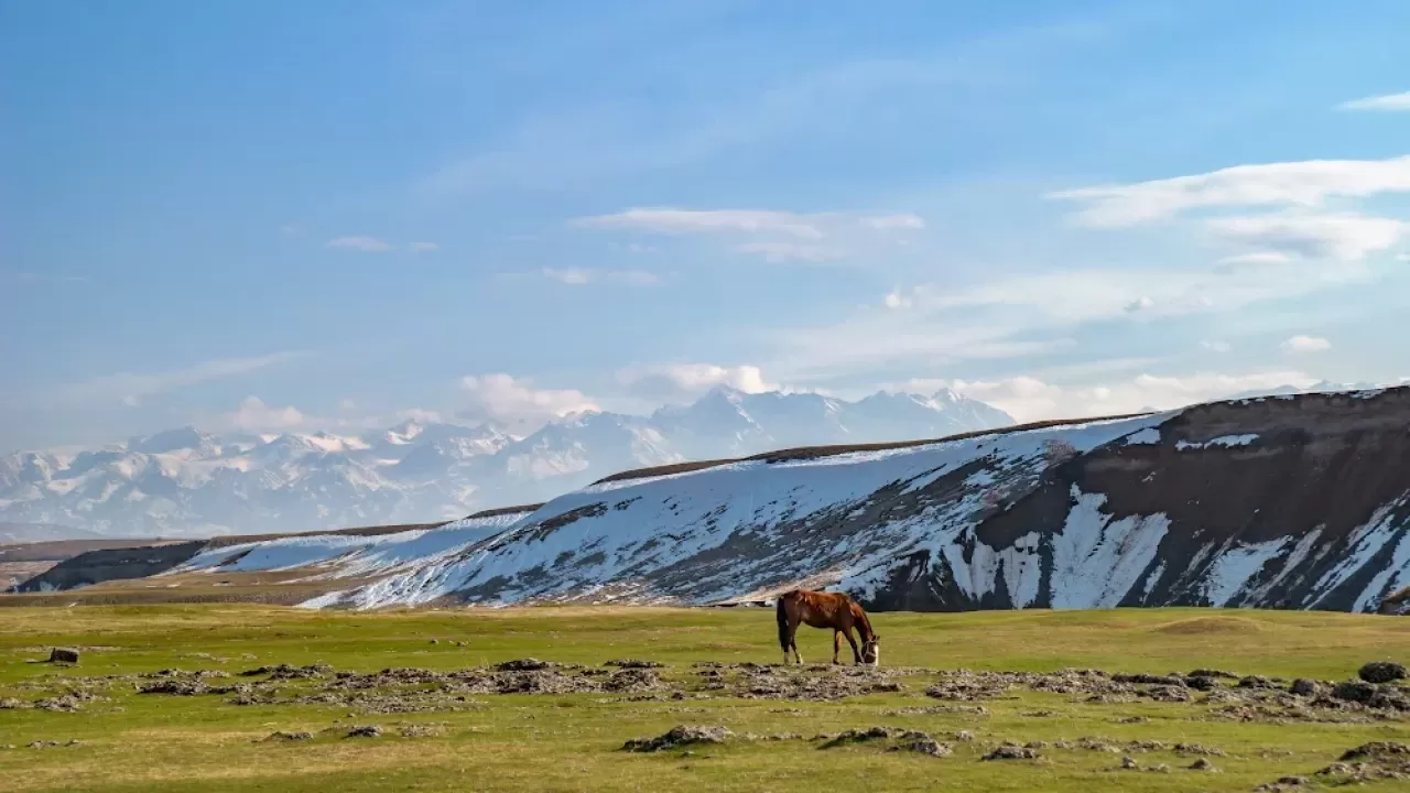 Разоблачен новый фейк о продаже земель Казахстана на китайских веб-сайтах