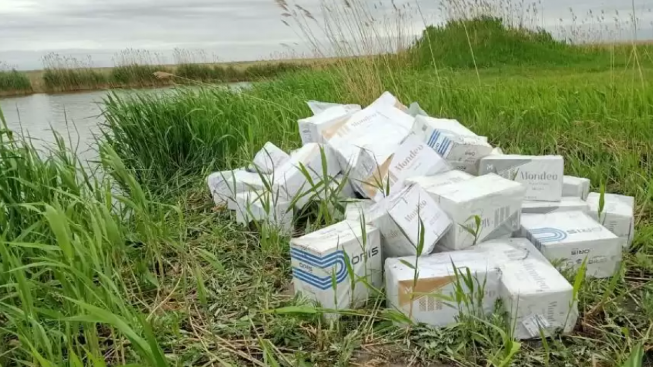 Медициналық халаттардағы секс қыздар