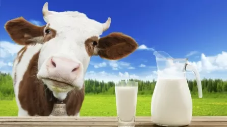 В 2024 году потребность Казахстана в молоке будет закрыта – минторг 