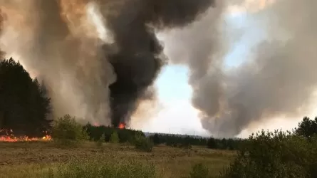 Синоптики сообщили о пожарной опасности в двух регионах РК