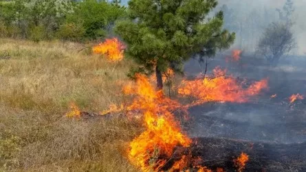 Синоптики предупредили о пожарной опасности во многих регионах РК